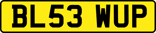 BL53WUP