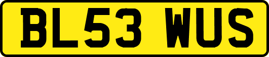 BL53WUS