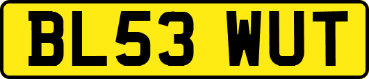 BL53WUT