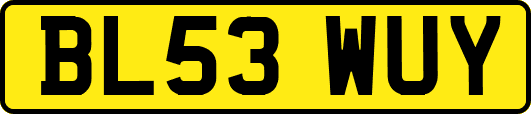 BL53WUY