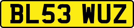 BL53WUZ