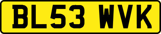 BL53WVK