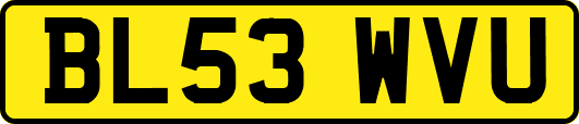 BL53WVU