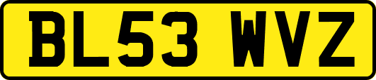 BL53WVZ