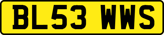 BL53WWS