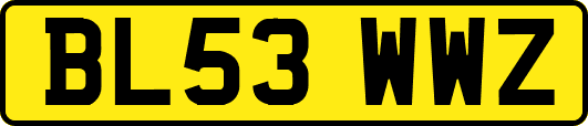 BL53WWZ
