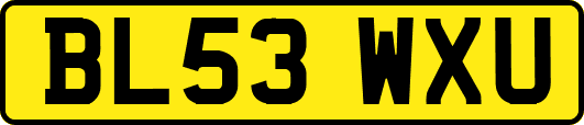 BL53WXU