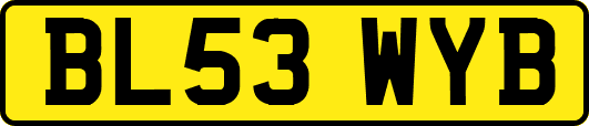 BL53WYB