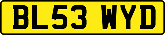 BL53WYD
