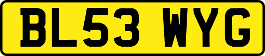 BL53WYG