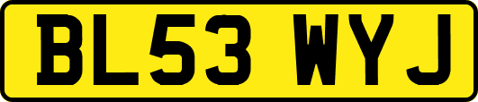 BL53WYJ