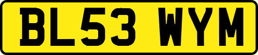 BL53WYM