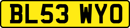 BL53WYO