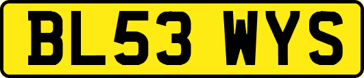 BL53WYS