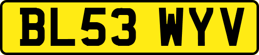 BL53WYV