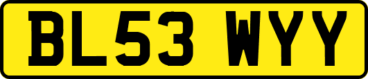 BL53WYY