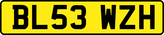 BL53WZH