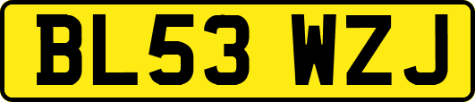 BL53WZJ