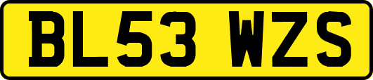 BL53WZS