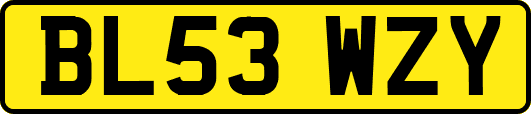 BL53WZY
