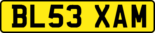 BL53XAM