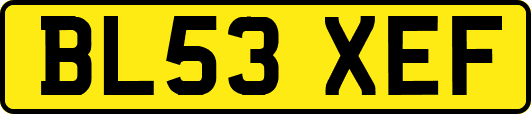 BL53XEF