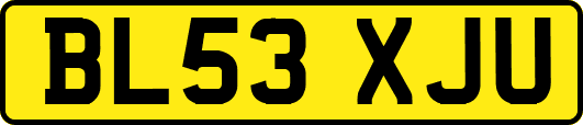 BL53XJU