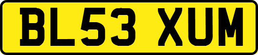 BL53XUM