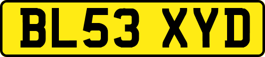 BL53XYD