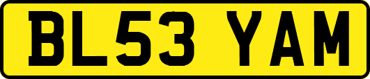 BL53YAM