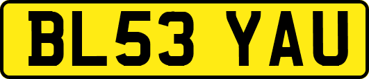BL53YAU