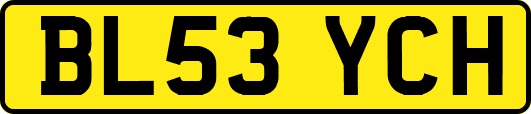 BL53YCH
