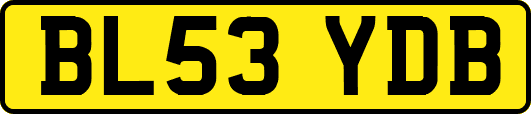 BL53YDB