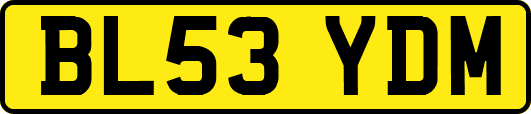 BL53YDM