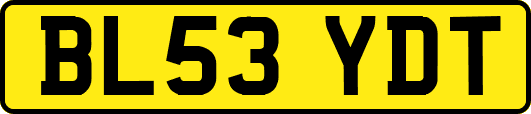 BL53YDT