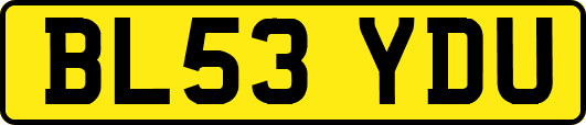 BL53YDU
