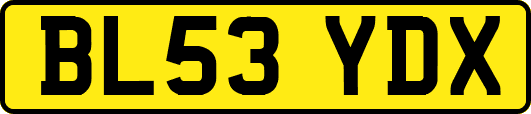 BL53YDX