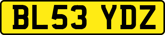 BL53YDZ