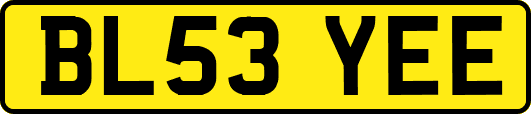 BL53YEE