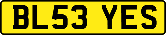 BL53YES
