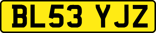 BL53YJZ