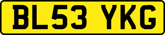 BL53YKG