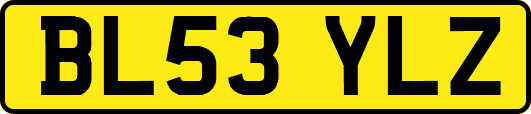 BL53YLZ