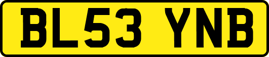 BL53YNB