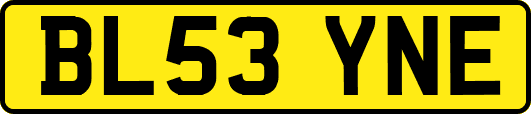 BL53YNE