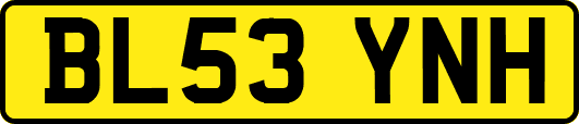 BL53YNH