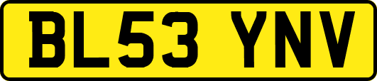 BL53YNV