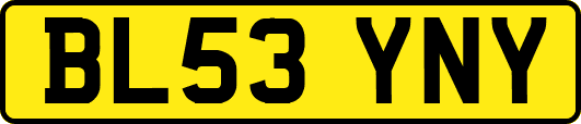 BL53YNY