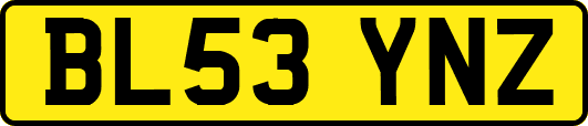 BL53YNZ