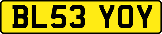 BL53YOY